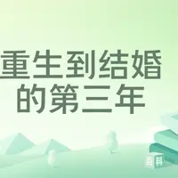 重生到结婚的第三年